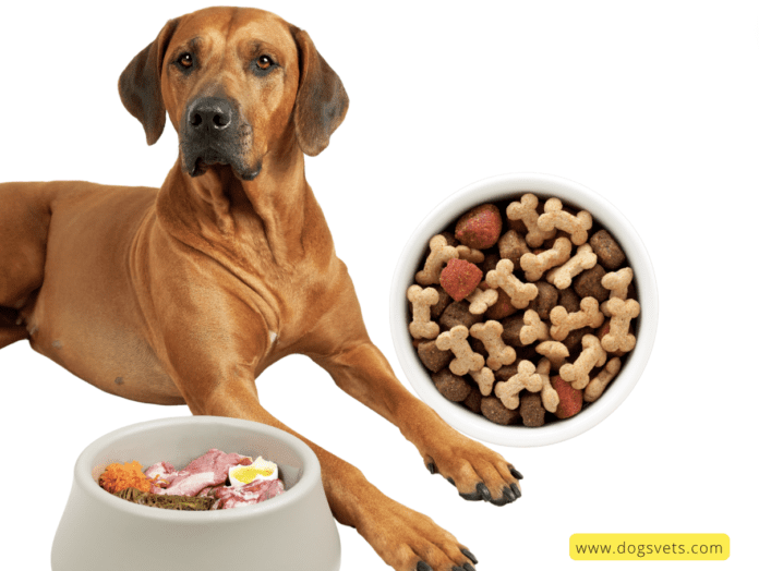 How to Evaluate the Nutritional Content of Your Dog's Food